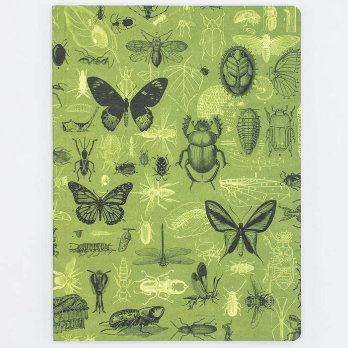 Insectes Butterflies & Beetles Notebook Softcover | Grille à points