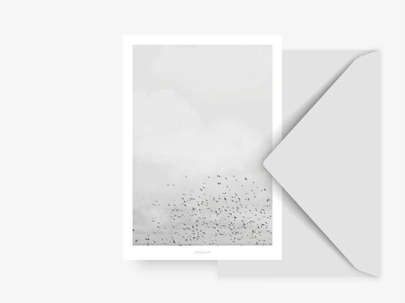Carte Vogels | Enveloppe
