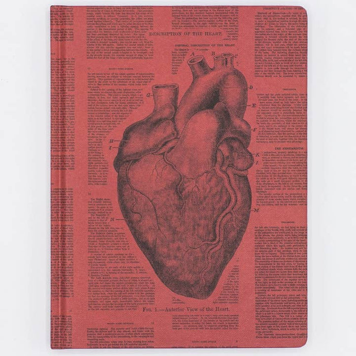 Anatomical Heart Hardcover Notebook