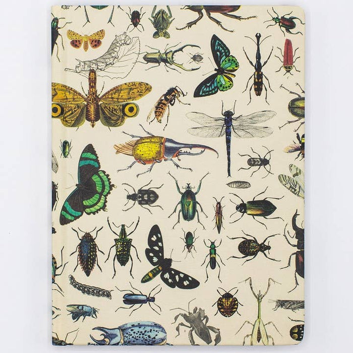 Note à couverture rigide d'insectes - pages doublées / grille