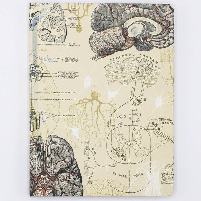 Brain & Neuroscience Hardcover Notebook