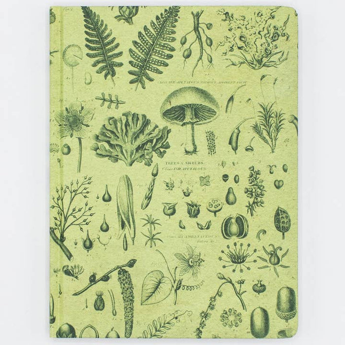 Carnets à couverture rigide des plantes et des champignons