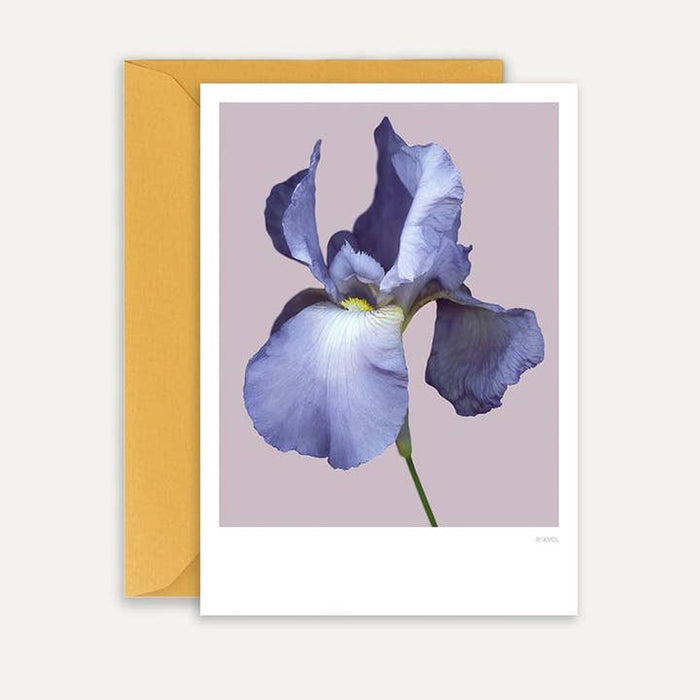 Kaart Bearded Iris 01