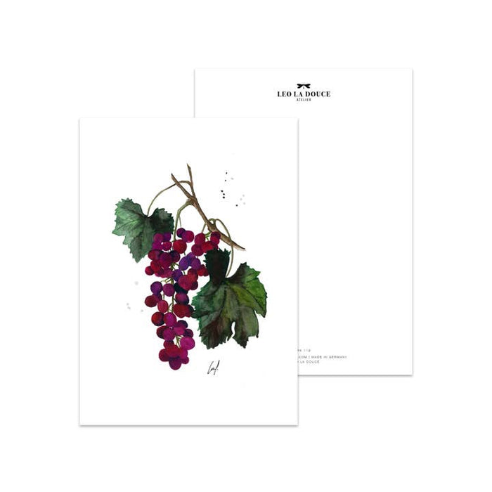 Grapes de carte | Une enveloppe