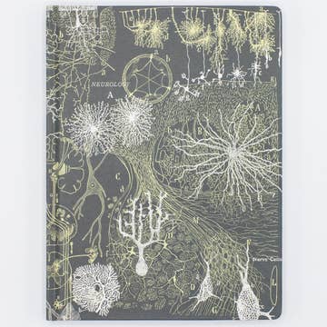 Neurons Hardcover Notebook | Lined/Grid