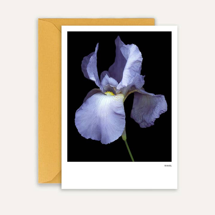 Carte Black Edition Barded Iris 01